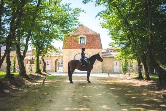 Balade à Cheval dans le parc