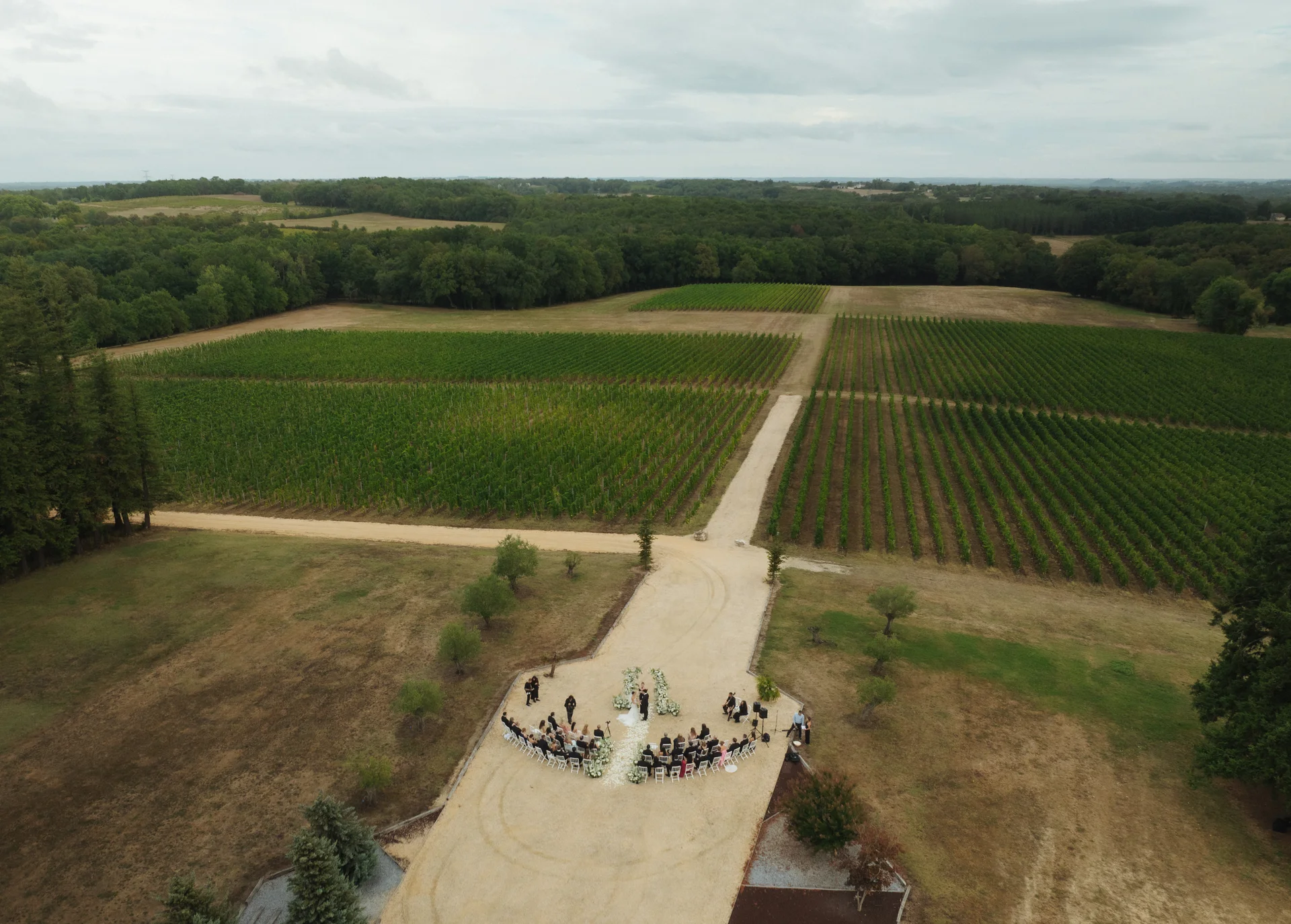 Cérémonie de mariage dans l'allée des vignes, vue du ciel