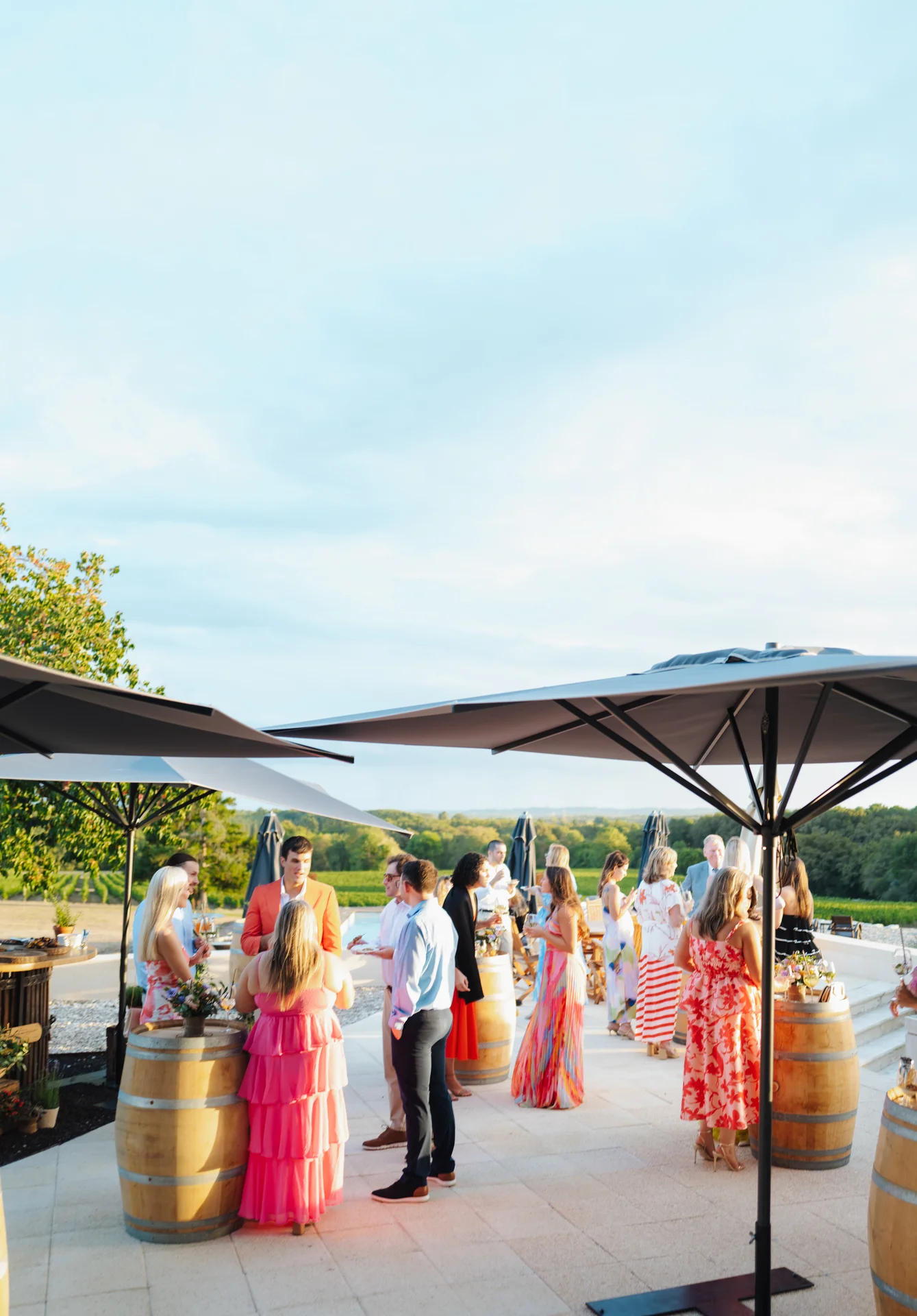 Invités au vin d'honneur sur la terrasse du château